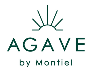 Agave by Montiel logo online mezcaleria b