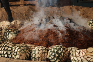 Agave hearts pinas ready roasting mezcal 1