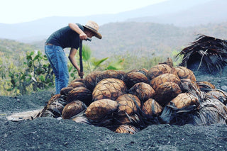 Mezcal loading earth oven agave spirits traditional